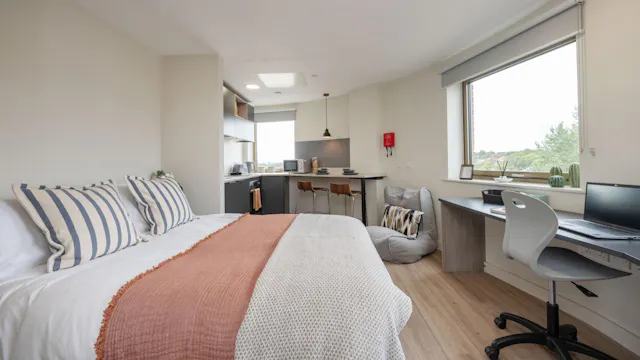 Deluxe Studio room image 1