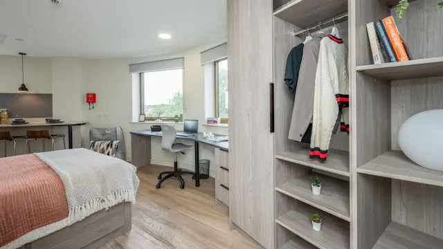 Deluxe Studio room image 2