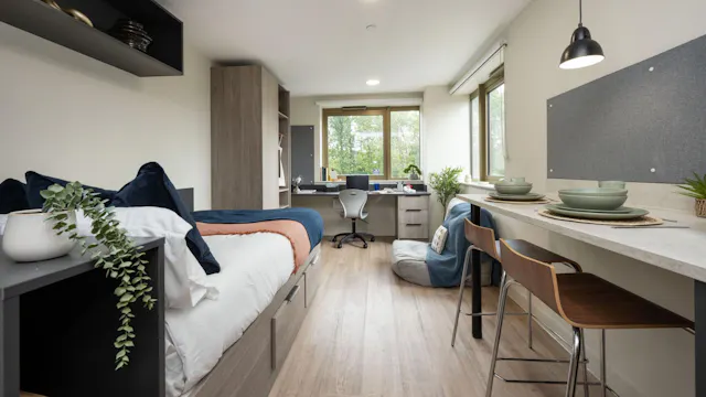 Premium Studio room image 1