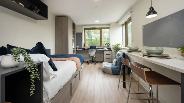 Premium Studio room image 1