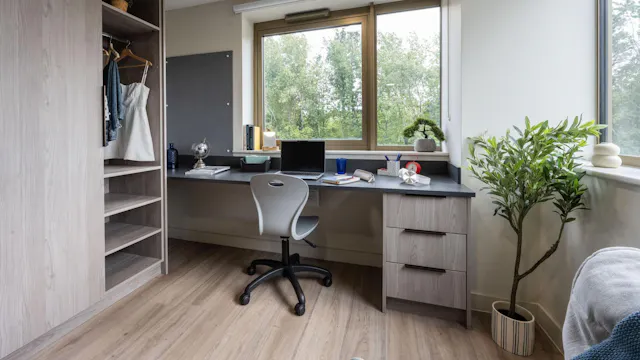 Premium Studio room image 2