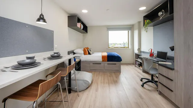 Standard Plus Studio room image 3