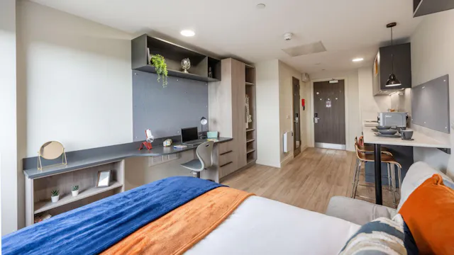 Standard Plus Studio room image 2