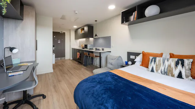 Standard Plus Studio room image 1