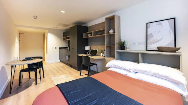 Large Premium Studio room image 1