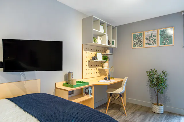 Executive Studio room image 2