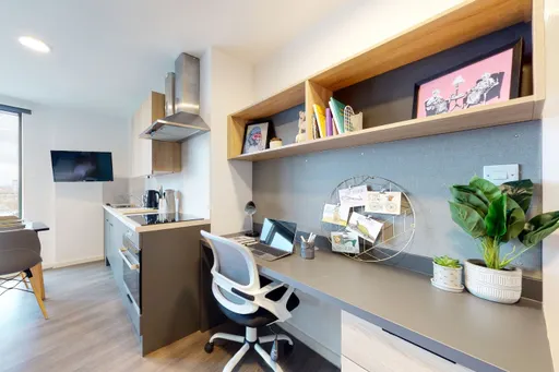 Silver Studio Lower Level