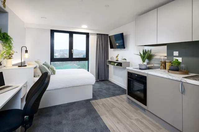 true Studio Plus room image 1