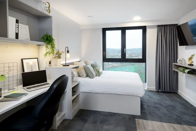 true Studio Plus room image 2