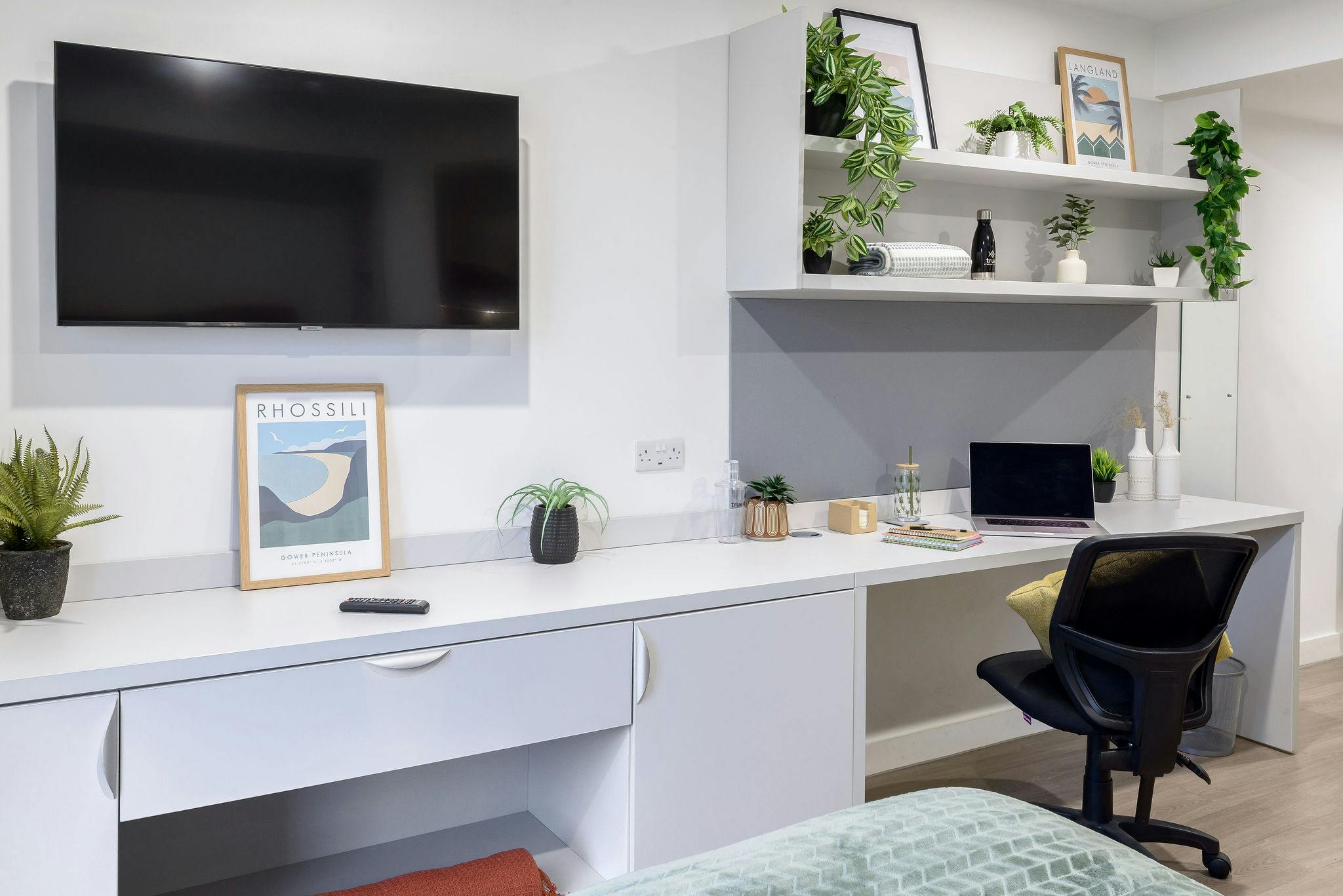 true Studio River View