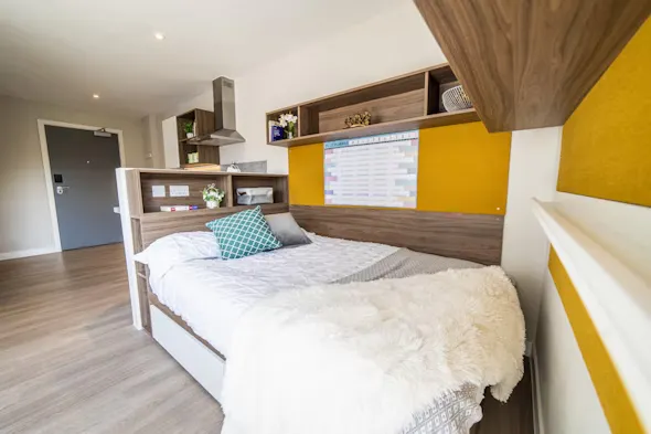 Gold Studio ROOM