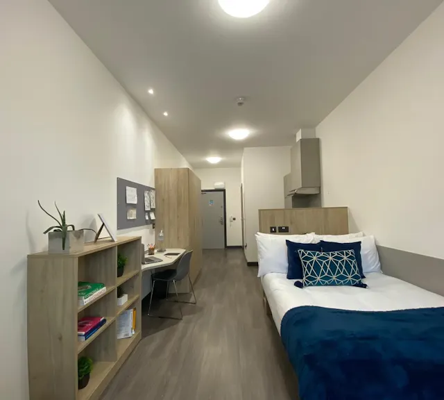 Platinum Studio room image 1
