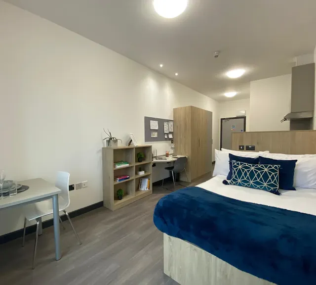 Platinum Studio room image 2