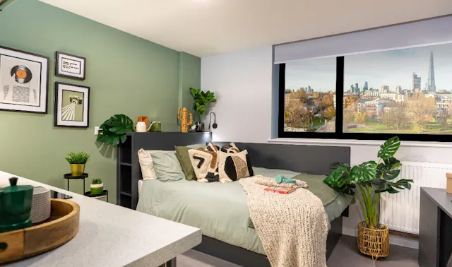 Large Studio room image 1