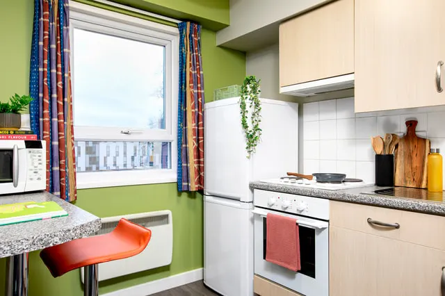 Studio Extra Large Standard Double room image 1