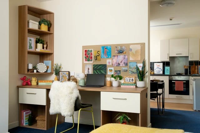 Studio Extra Large Standard Double