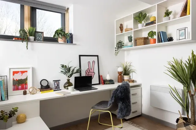 Studio Extra Large Standard Double room image 2