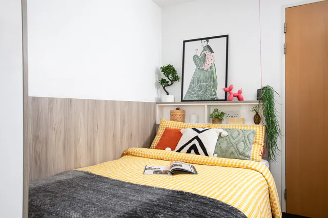Studio Extra Large Standard Double