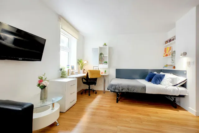 Studio Gold Plus room image 1