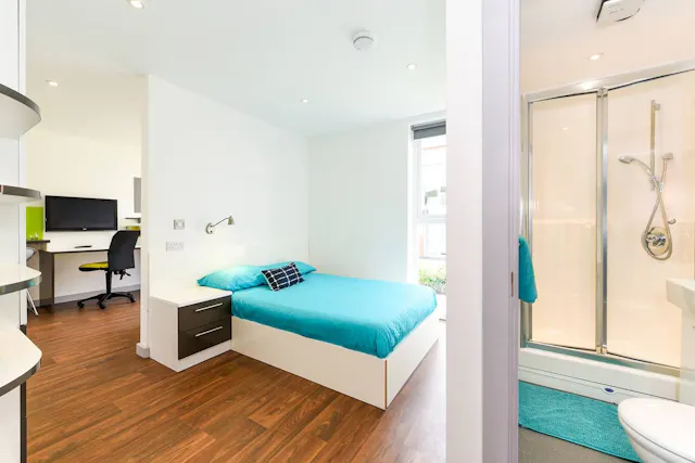 Studio Gold Plus room image 2