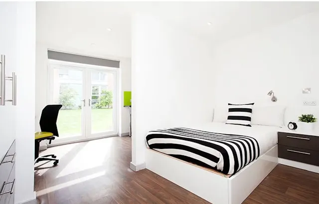 Studio Gold Plus room image 1