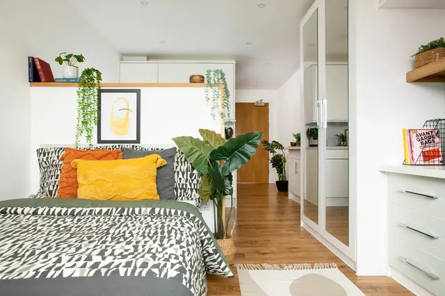 Studio Large Standard Double room image 1