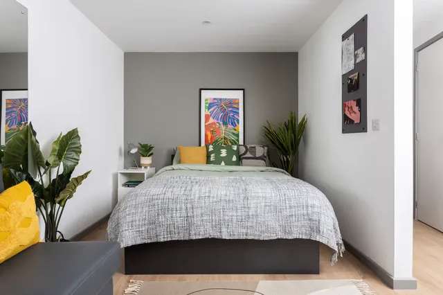 Studio Large Standard Double room image 1