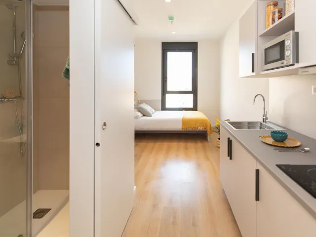 Studio Lux with kitchen room image 1