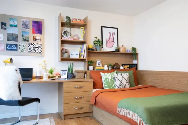 Studio Large Standard Double room image 1