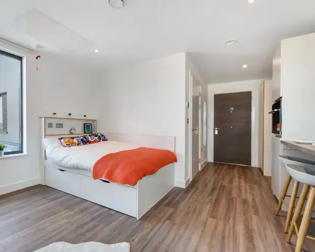 Studio Platinum Plus room image 1