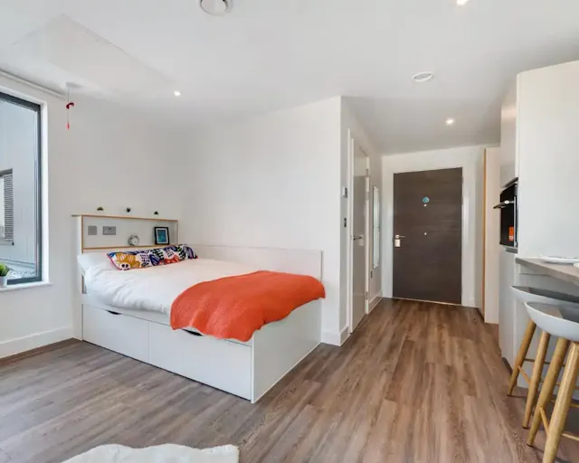 Studio Platinum Plus room image 1