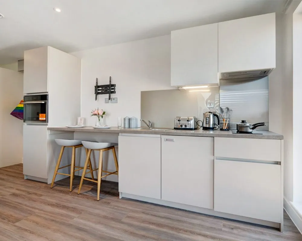 Studio Platinum KITCHEN 2