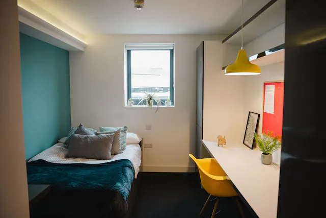 Standard Studio Plus room image 5
