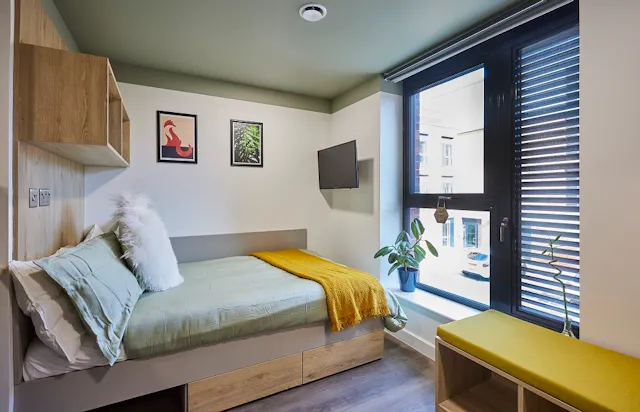 Studio Plus room image 1