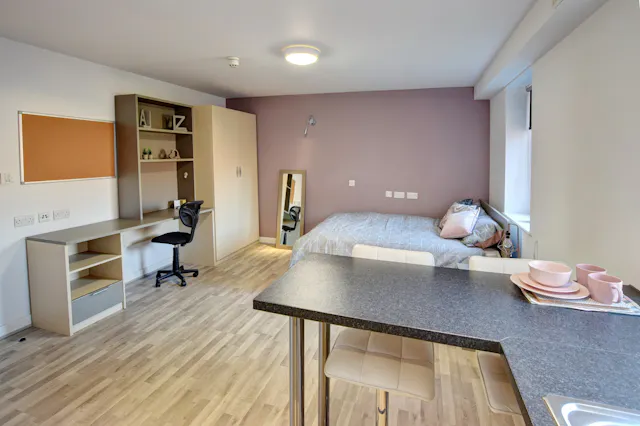 Studio Premium Deluxe room image 2