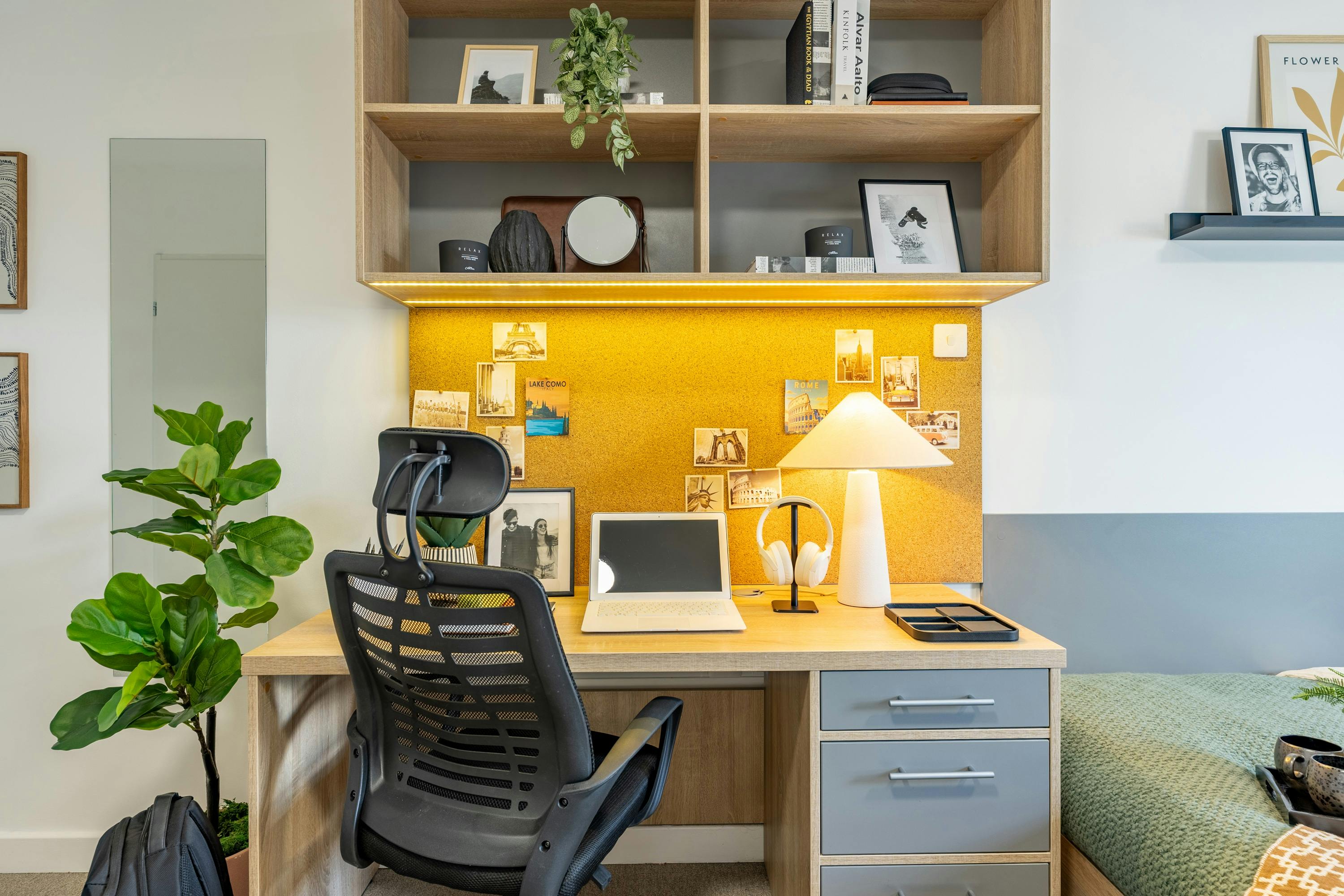 Premium Plus Studio
