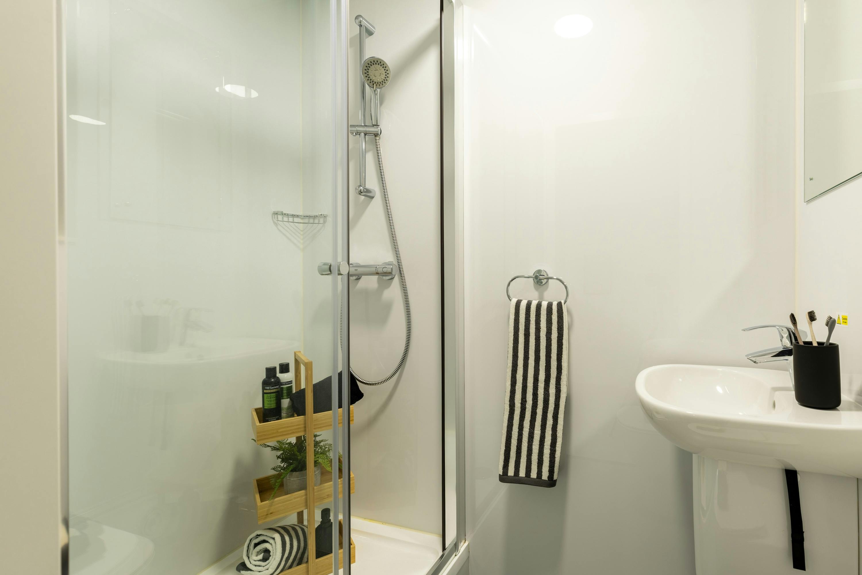 Premium Plus Studio