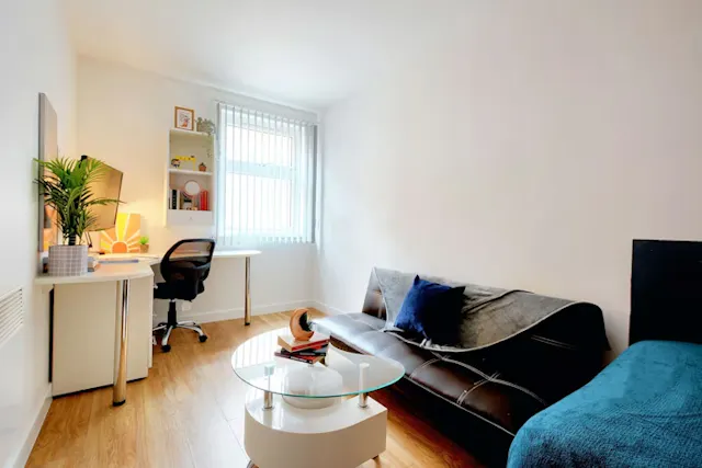 Studio Bronze Plus room image 1