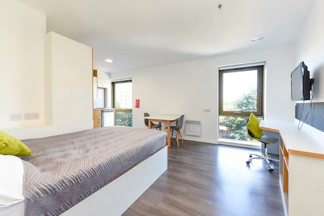 Studio Gold - City View room image 1
