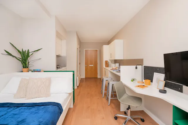 Studio Gold Plus room image 1