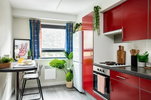 Studio Large Standard Double