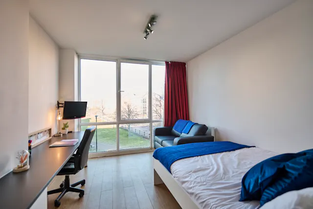 Studio Platinum Plus room image 1