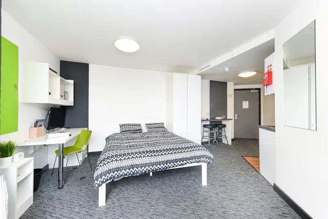 Studio Platinum Plus room image 1