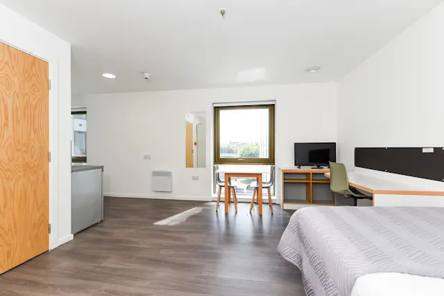 Platinum Studio room image 2