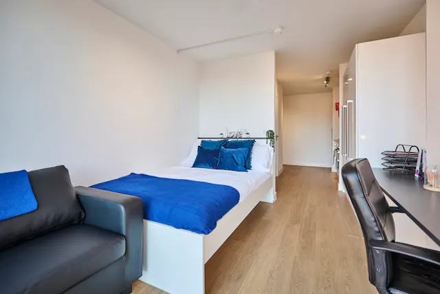 Studio Platinum Plus room image 2