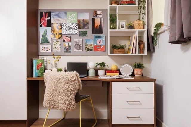 Studio Extra Large Standard Double