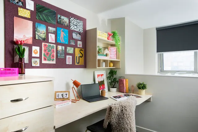 Studio Extra Large High Double room image 2