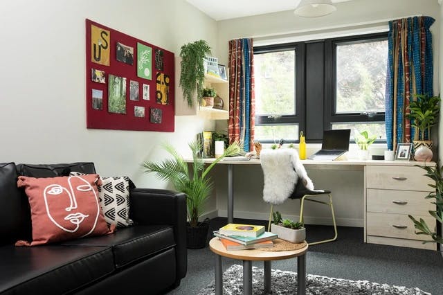 Studio Large Standard Double