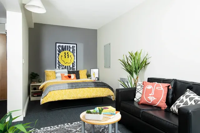 Studio Large Standard Double room image 1