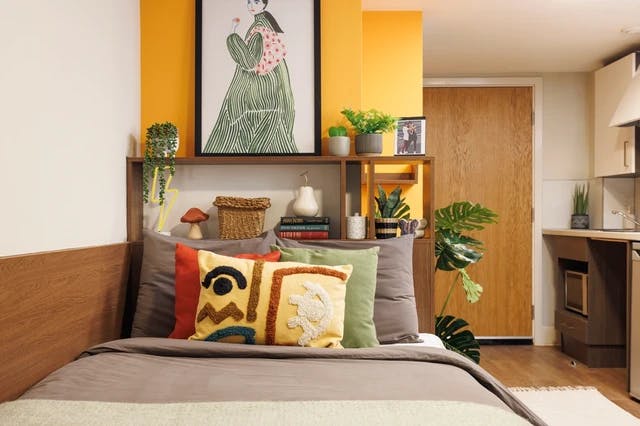 Studio Large Standard Double